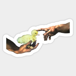 Michelangelo's Duckling, Creation of Baby Duck Sticker